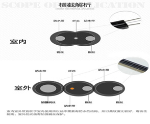 标题-1.jpg